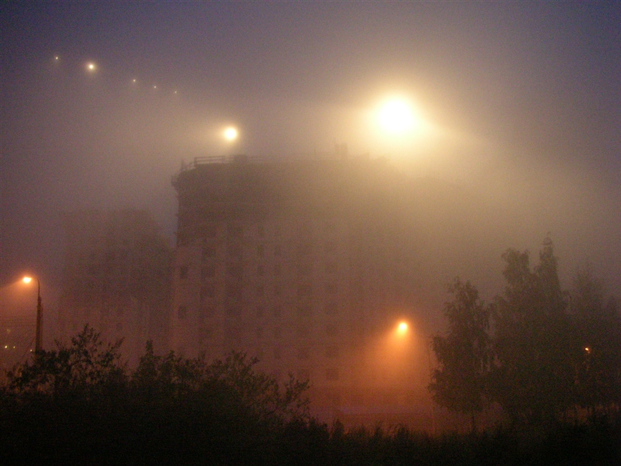 Фото жизнь