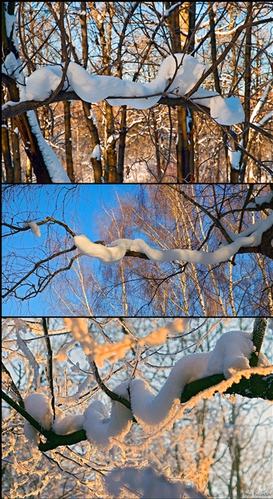 Фото жизнь
