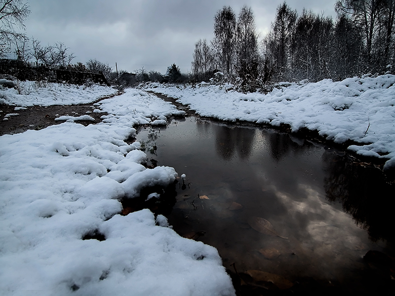 Фото жизнь (light) - LadyGuinevere - корневой каталог - Первый снег.