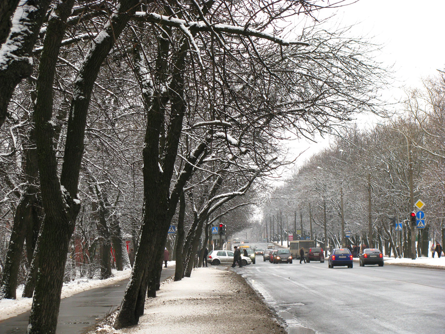 Фото жизнь