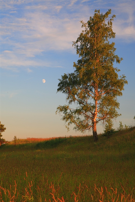 Фото жизнь