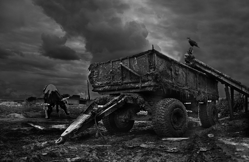 Фото жизнь (light) - Максим Юлдашев - корневой каталог - Ядерная романтика