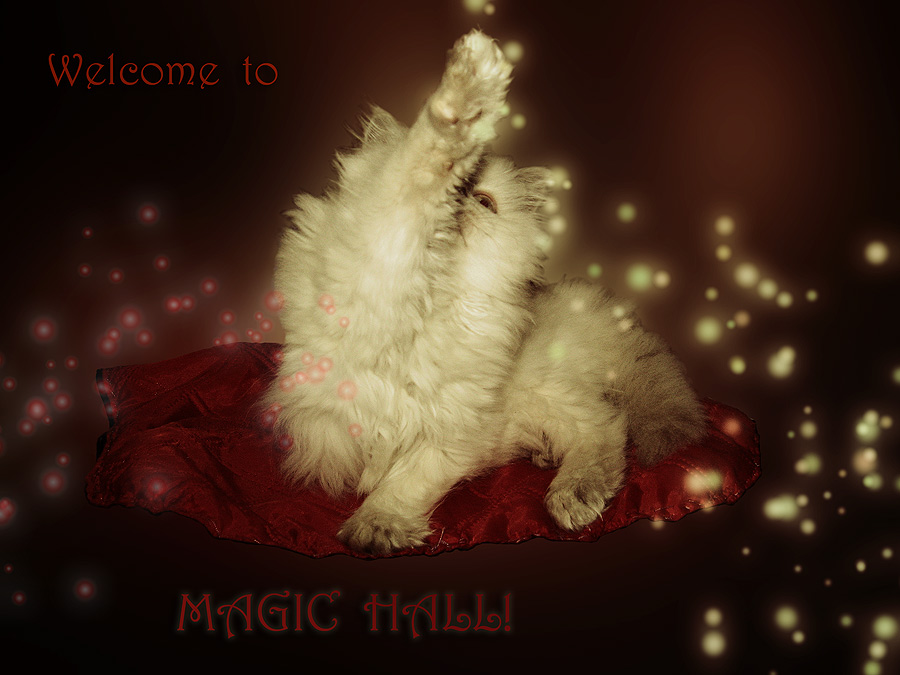 Фото жизнь - Melissa Schwarz - корневой каталог - Welcome to MAGIC HALL!