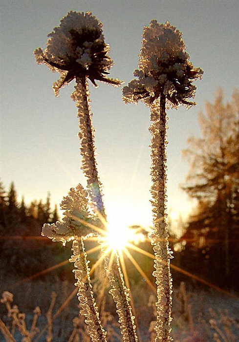Фото жизнь