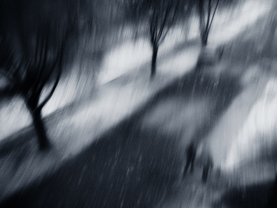 Фото жизнь (light) - LadyGuinevere - корневой каталог - A снег идет.