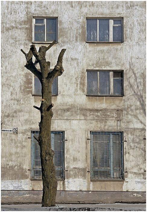 Фото жизнь (light) - anikol - корневой каталог - провинция...