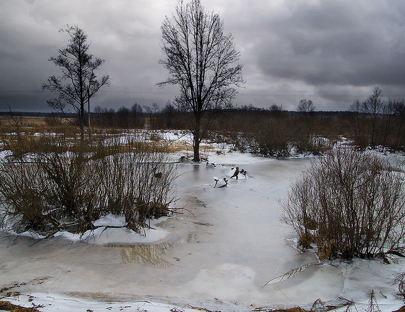 Фото жизнь (light) - LadyGuinevere - корневой каталог - Март.