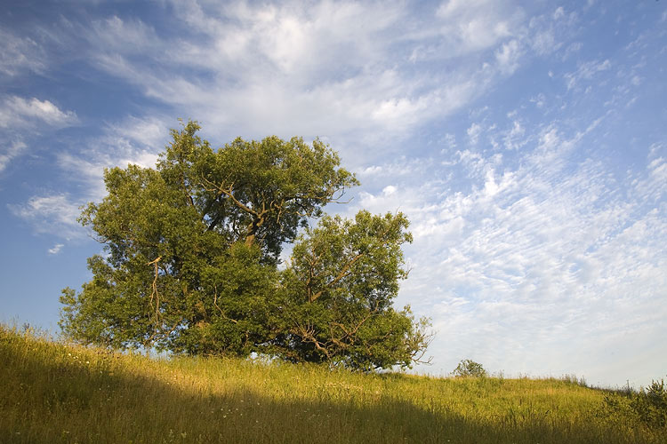 Фото жизнь (light) - Александр Ильин - Российские просторы... - Про жизнь... (продолжение)