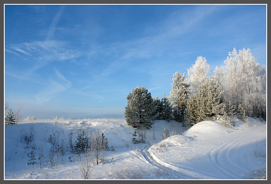 Фото жизнь