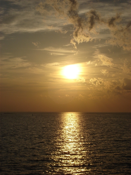 Финский залив