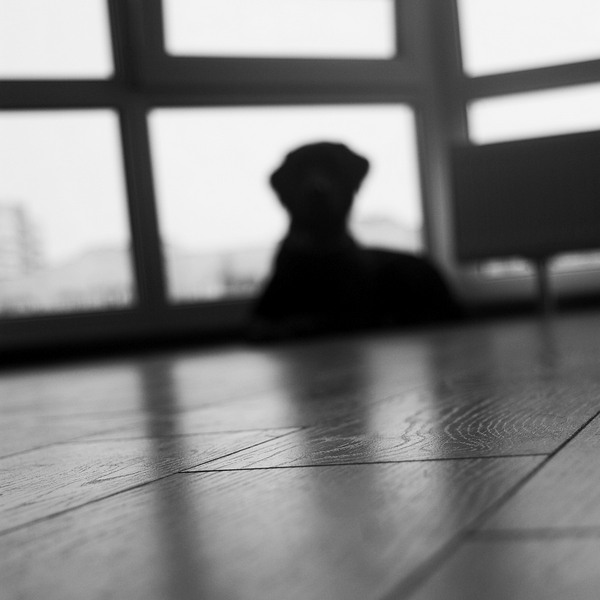 Фото жизнь (light) - Мария Стацевич - корневой каталог - ***