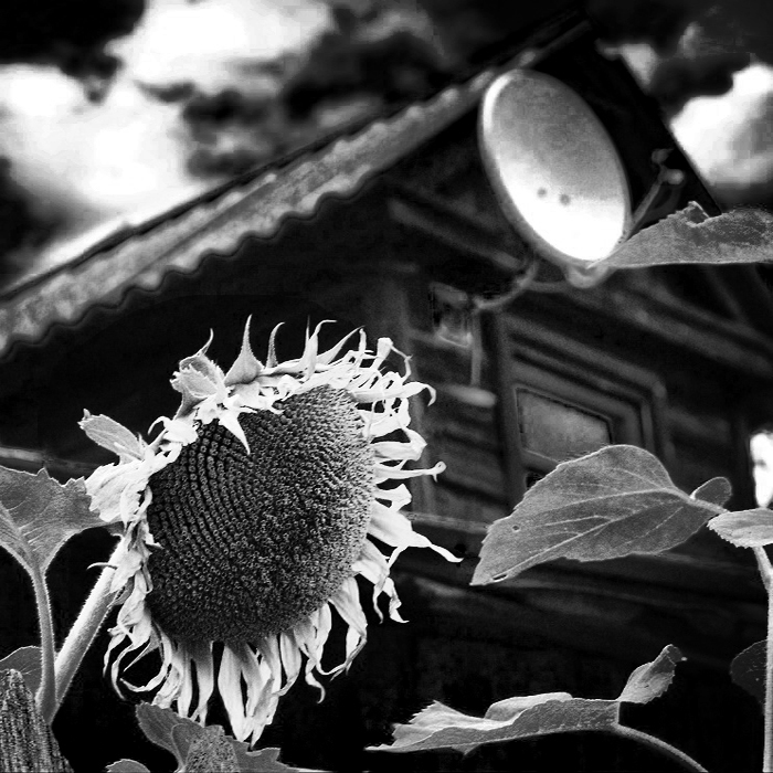 Фото жизнь (light) - _AlterEgo_ - Поразмышляем? - Отрицание отрицания