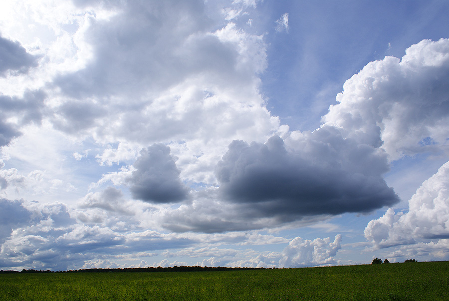 Фото жизнь (light) - Svetlana Fadeeva - Природа - Облака...