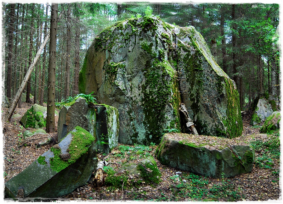 Фото жизнь (light) - Nutrilon - корневой каталог - Останец