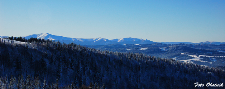 Фото жизнь (light) - FotoOhotnik - корневой каталог - *****