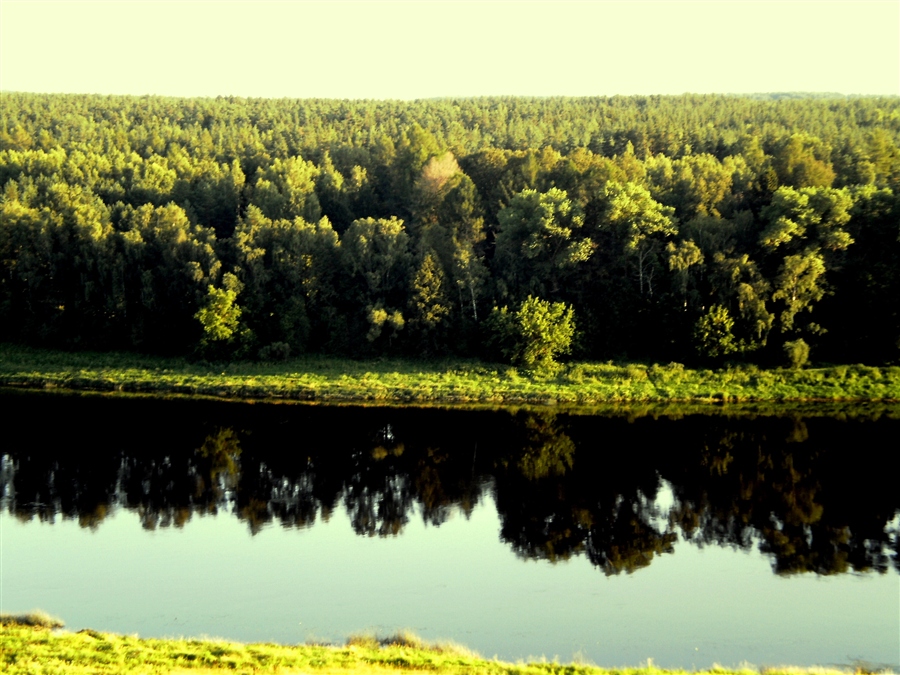 Фото жизнь