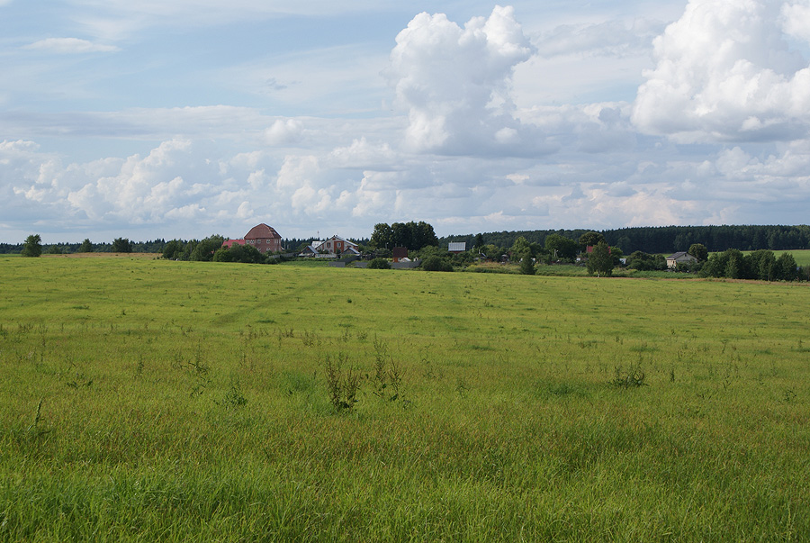 Фото жизнь (light) - Svetlana Fadeeva - Природа - ...