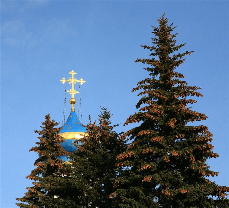Фото жизнь