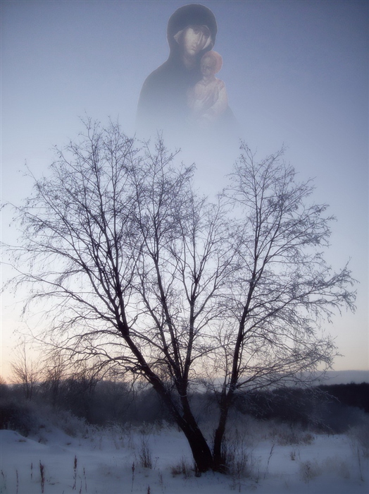 Фото жизнь