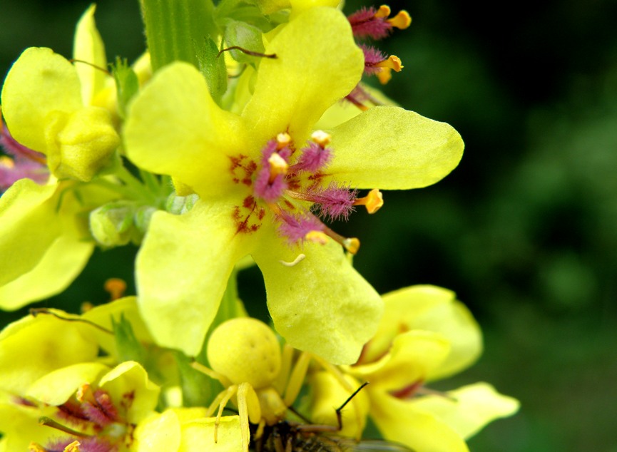 Фото жизнь (light) - Геннадий Нехай - корневой каталог - * * *