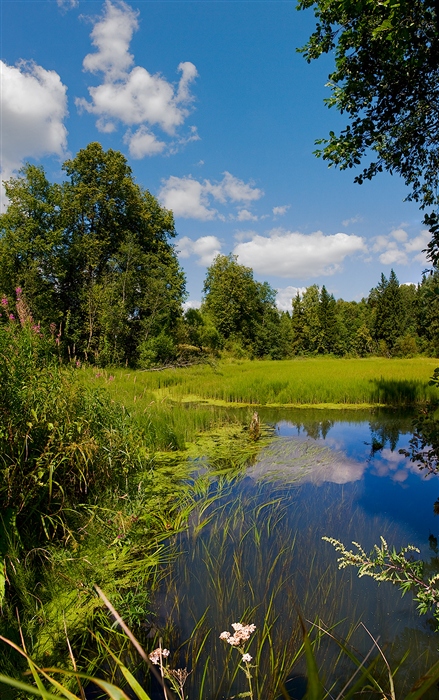Фото жизнь