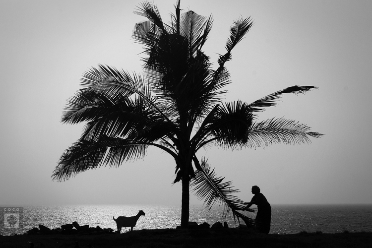 Фото жизнь (light) - cococinema - корневой каталог - Varkala.