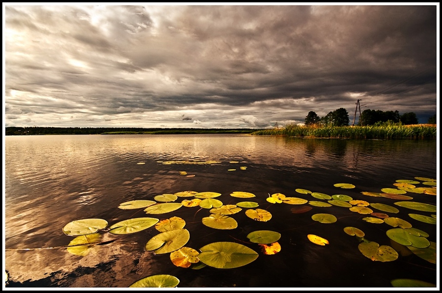 Фото жизнь
