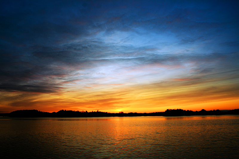 Фото жизнь (light) - cortisol - корневой каталог - ***