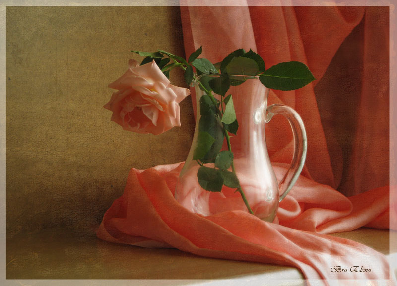 Фото жизнь (light) - Brule - корневой каталог - Розовый