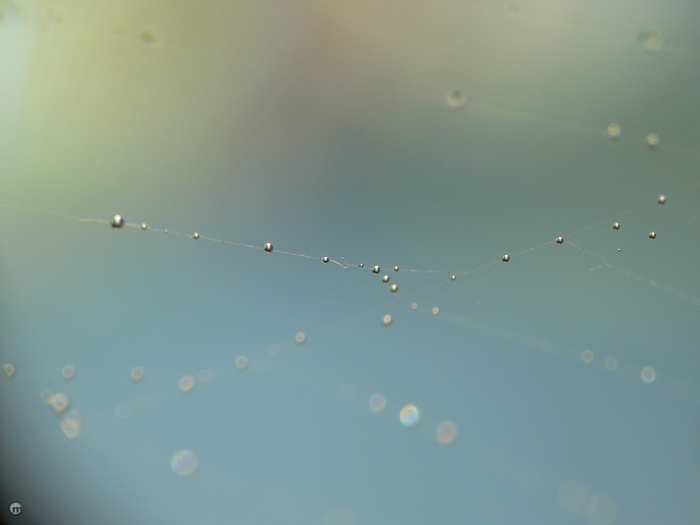 Фото жизнь (light) - CarMan - Этот большой маленький мир - pearl