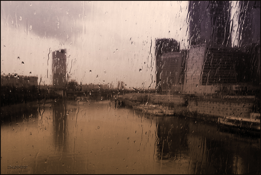 Фото жизнь - DALIASS - корневой каталог - Дождь, дождь...
