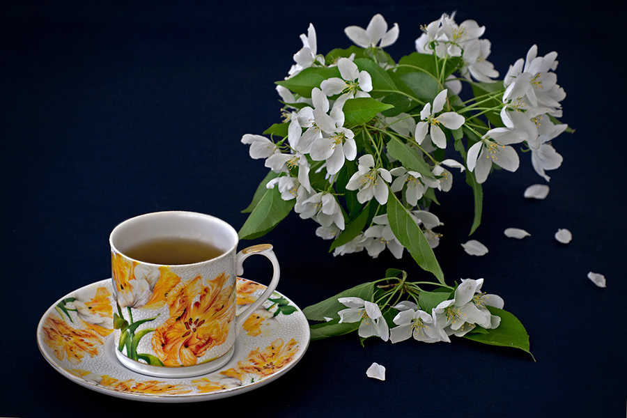 Фото жизнь (light) - Kuchkai_murza - корневой каталог - Весенний чай...