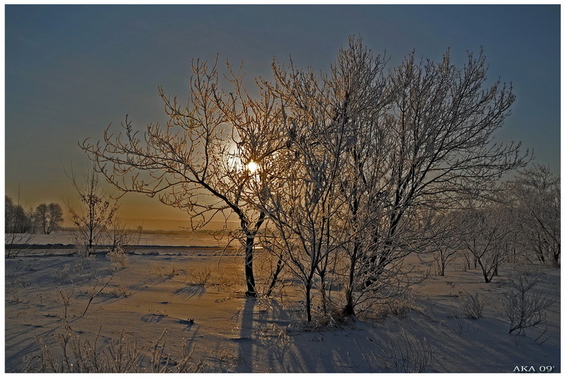 Фото жизнь (light) - tango - ПРИРОДА,ПЕЙЗАЖ - ...