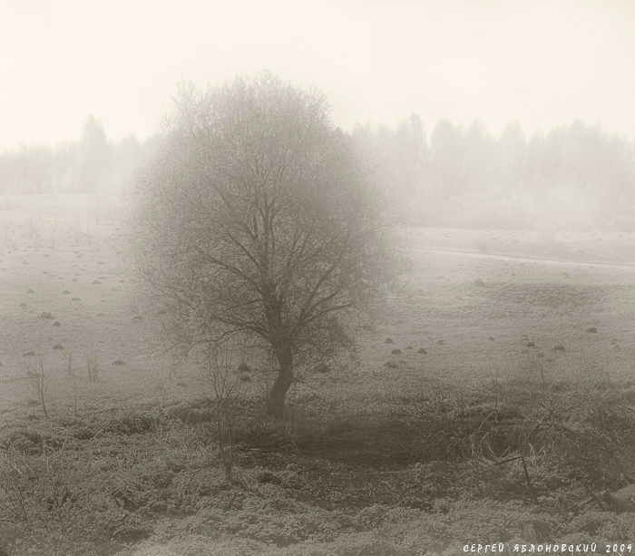 Фото жизнь (light) - Sergey Yablonovsky - корневой каталог - в туманах