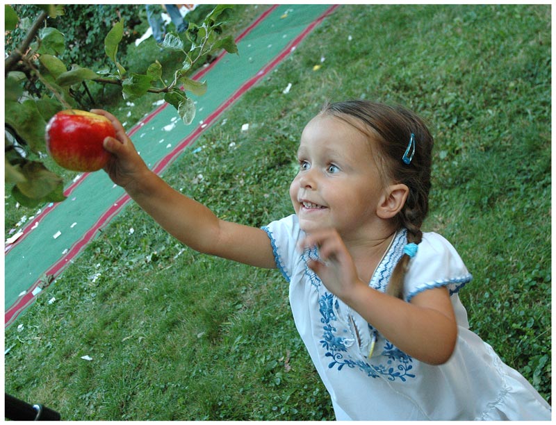 Фото жизнь (light) - Алексей Иванов - Жанр - красивое Яблочко