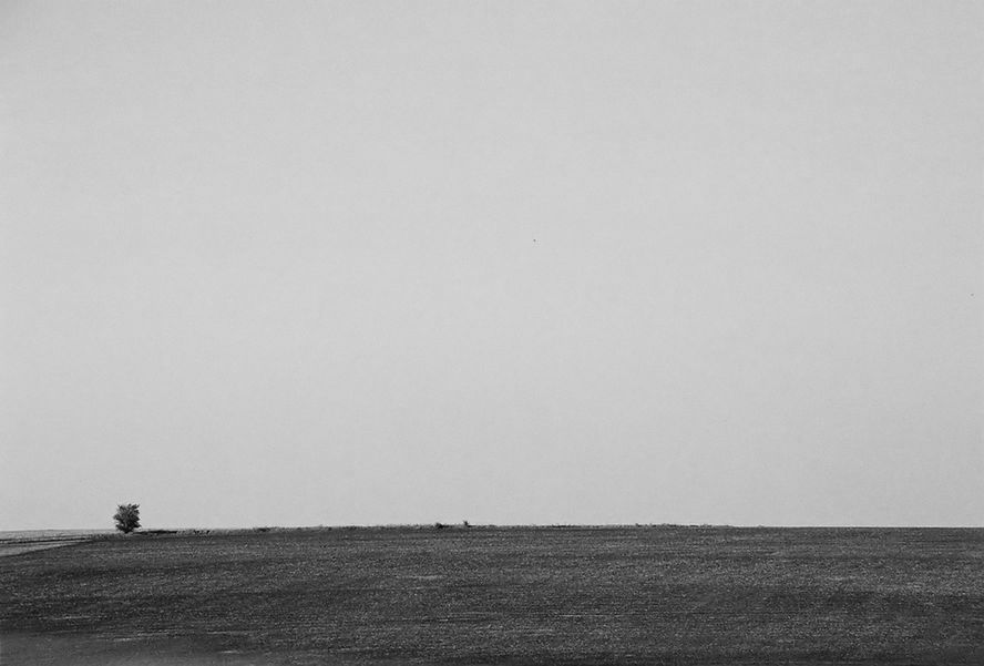 Фото жизнь (light) - deer - черно-белое - одиночество