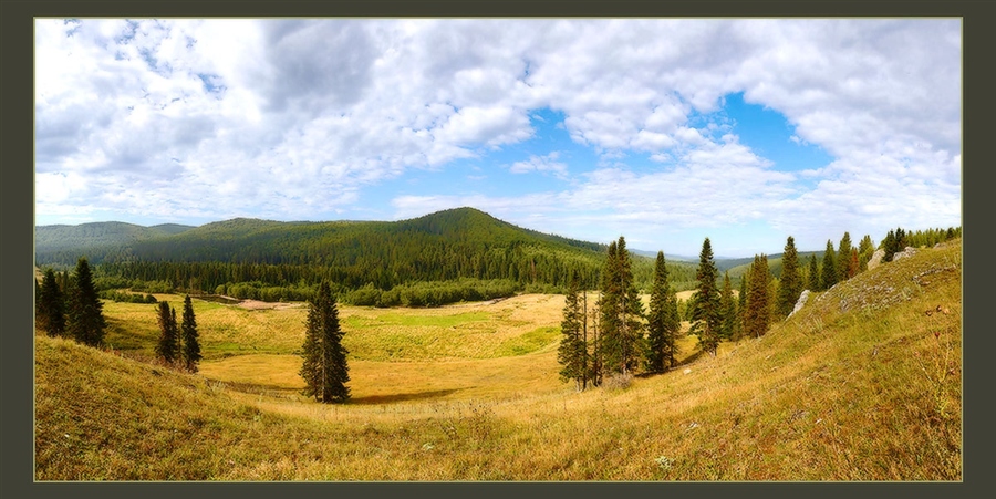 Фото жизнь