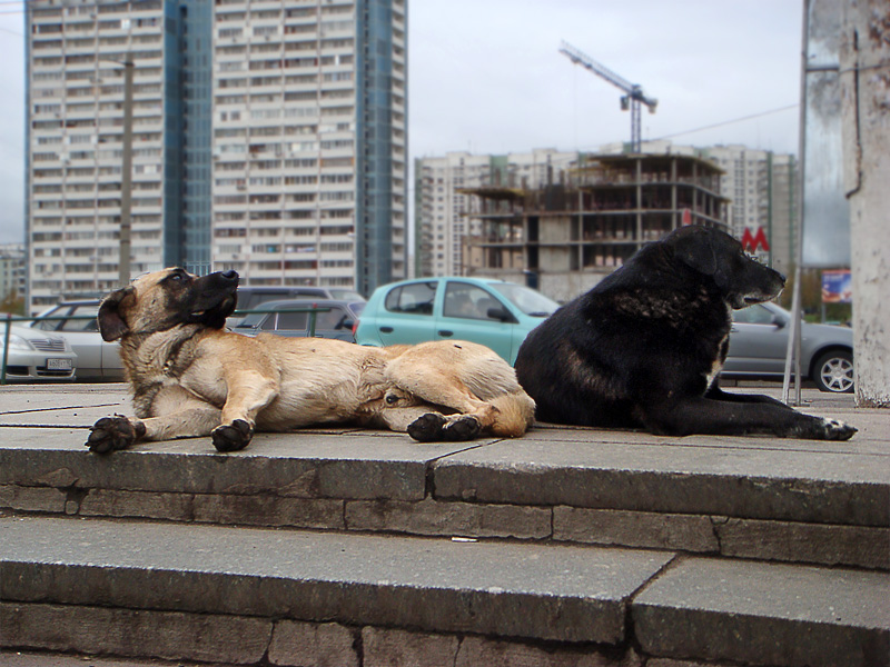 Фото жизнь