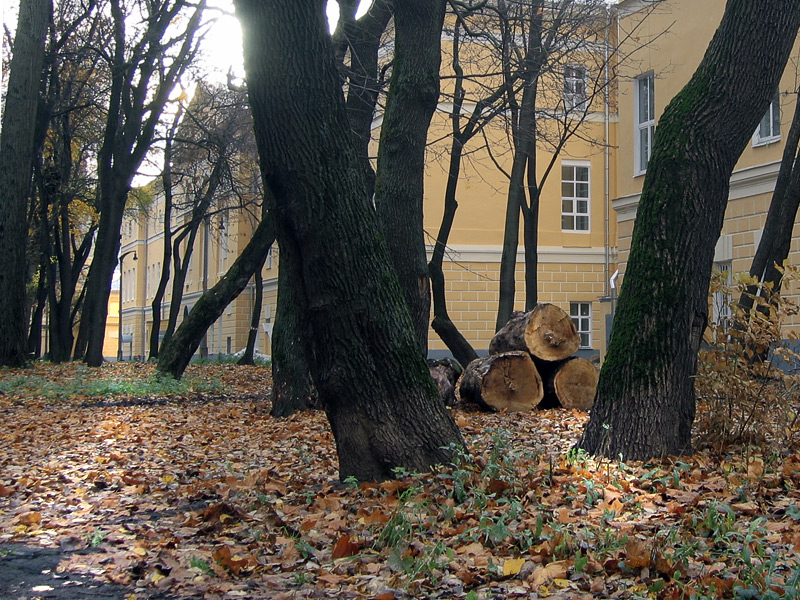 Фото жизнь