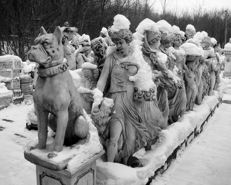 Фото жизнь