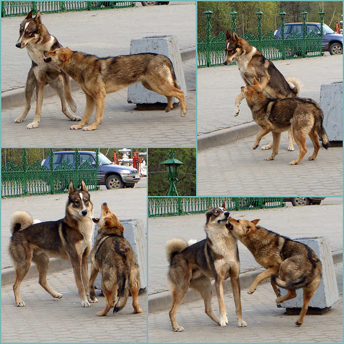 Фото жизнь