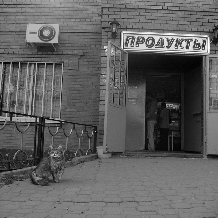 Фото жизнь