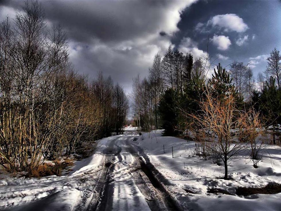 Фото жизнь