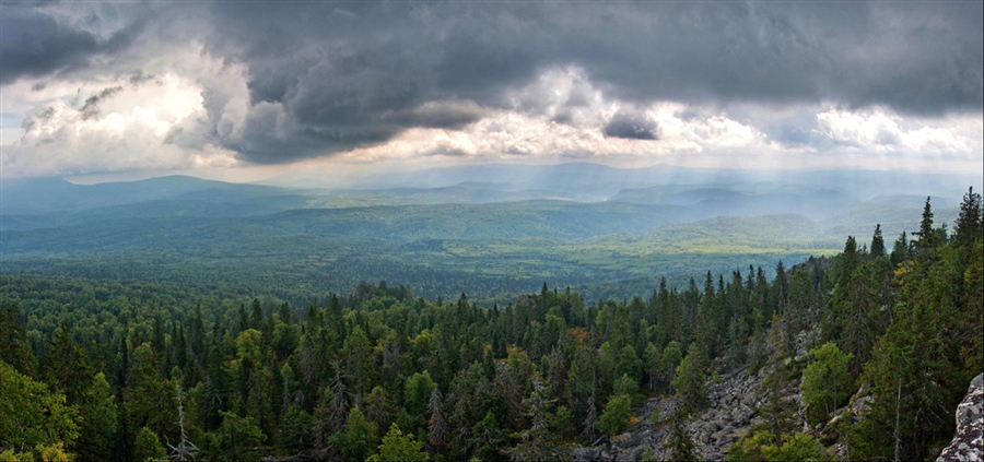 Фото жизнь