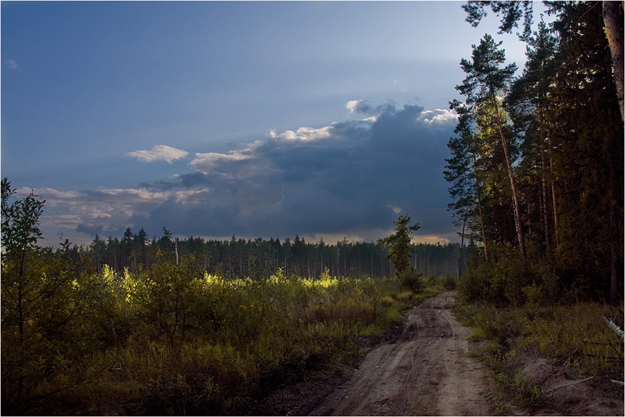 Фото жизнь