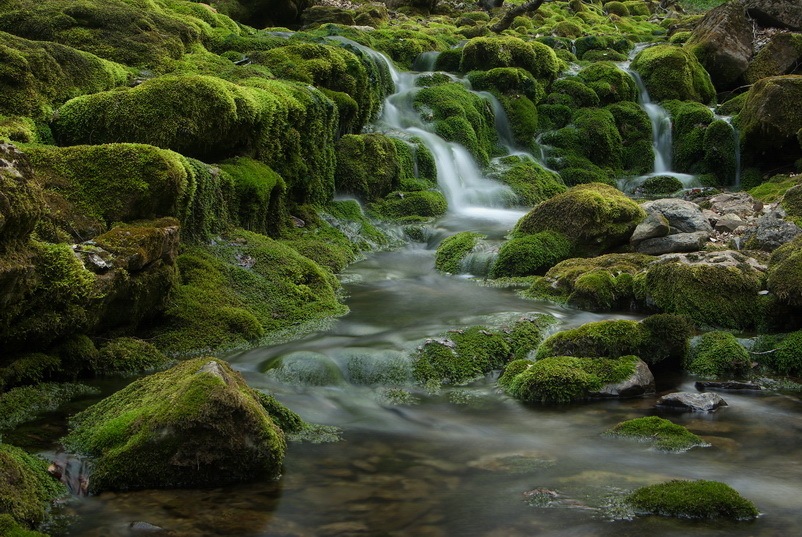 Фото жизнь (light) - Биленский Гена - Май - ****