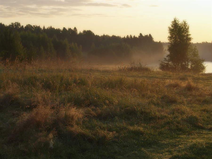 Фото жизнь