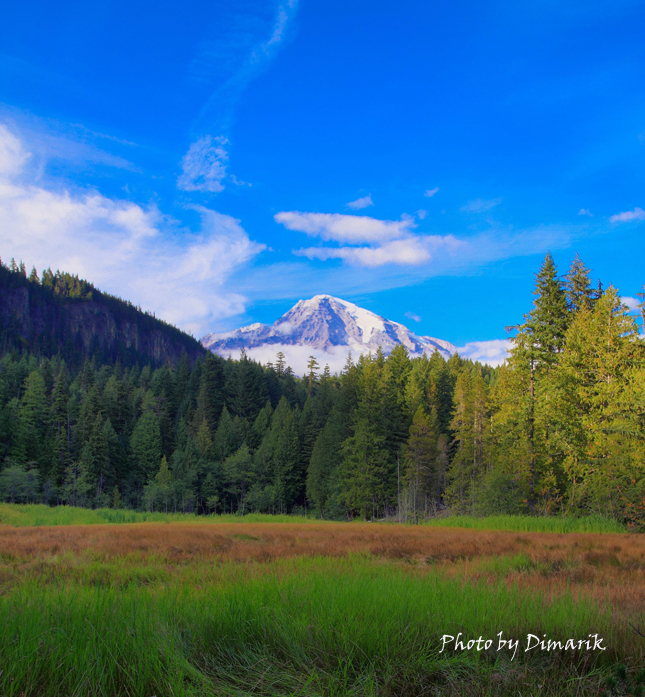 Фото жизнь (light) - dimarik - корневой каталог - Mount Rainier National Park, Paradise