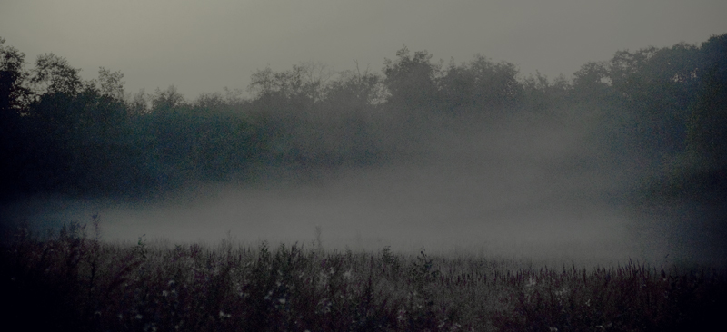 Фото жизнь (light) - AlexandrGlazkov - f o g - m a g i c f o g