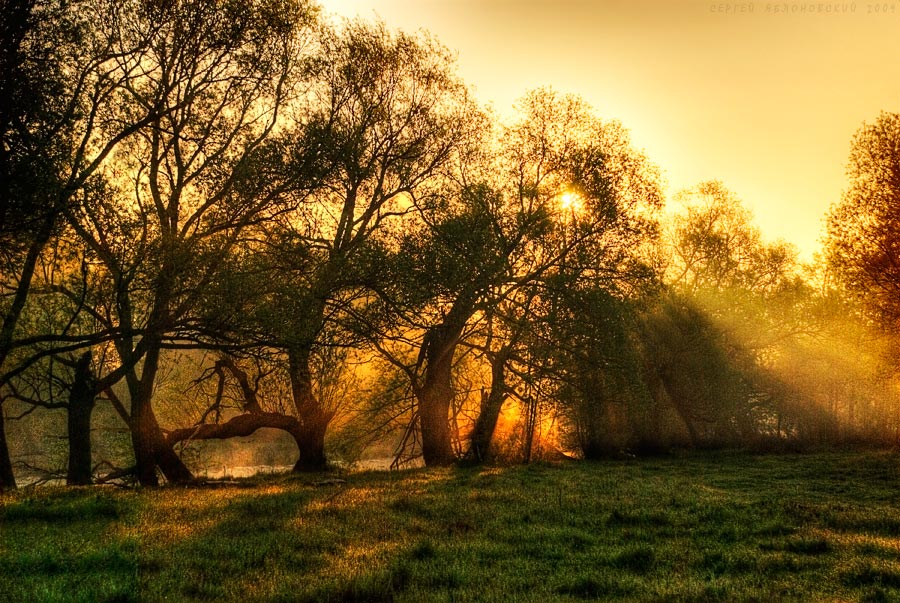 Фото жизнь - Sergey Yablonovsky - корневой каталог - лучи утреннего света